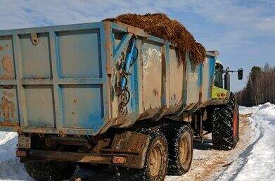 Крупное агропредприятие Прикамья оштрафовали за нарушения правил содержания рогатого скота