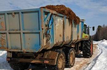 Крупное агропредприятие Прикамья оштрафовали за нарушения правил содержания рогатого скота