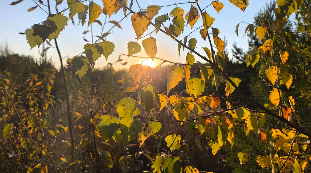 Октябрь в Пермском крае будет сухим и умеренно теплым