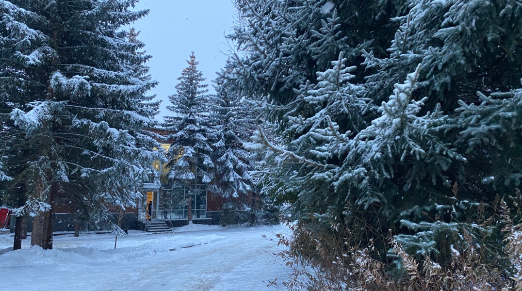 МЧС: 15 января в Прикамье пройдет низовая метель