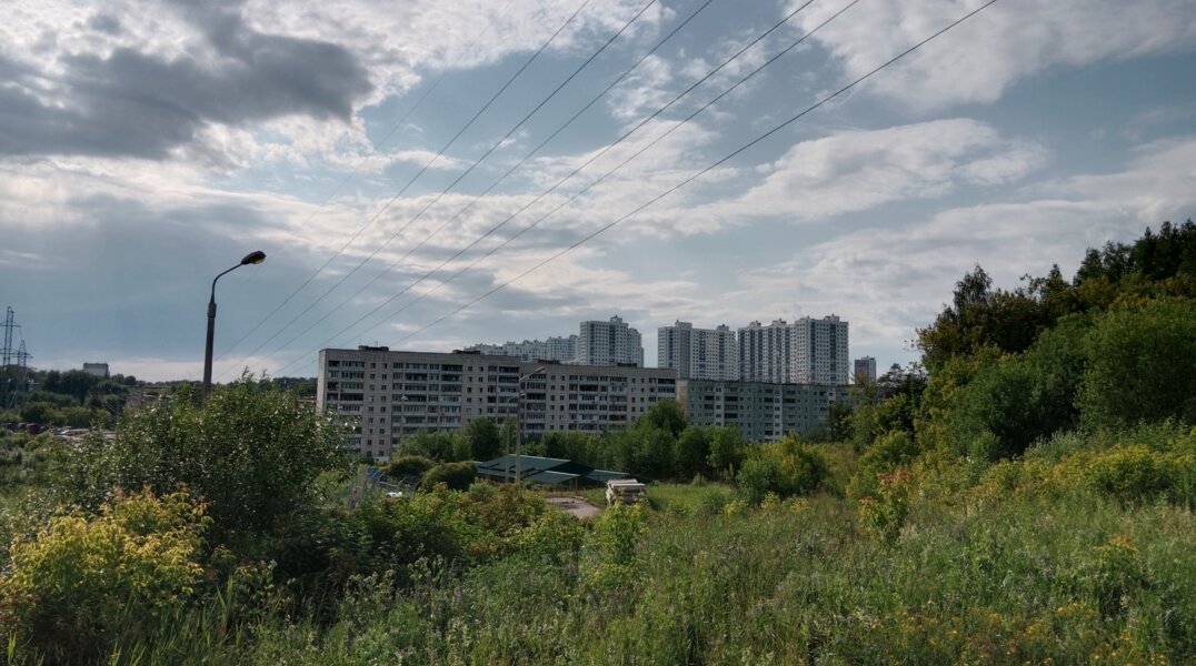 Пермяков попросили не гулять в городских лесах во время повторной обработки от клещей