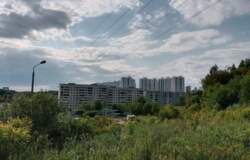 Власти Перми сообщили о периодах обработки общественных мест от клещей