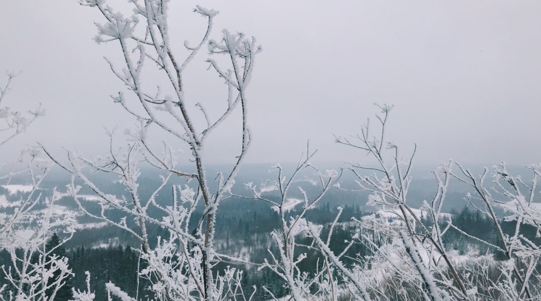 Циклон «Мартина» продолжит бушевать в Прикамье до вечера воскресенья