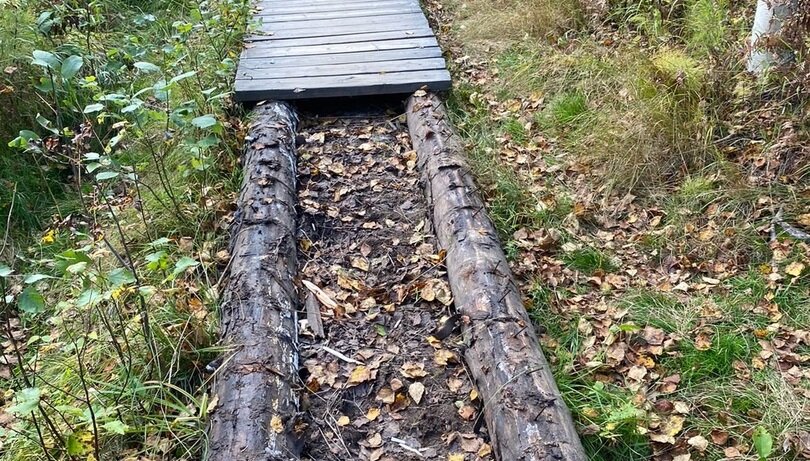 В Прикамье в Каменном городе разобрали туристическую тропу