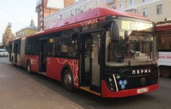 В центре Перми изменят маршруты автобусов на время полумарафона