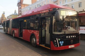 На Гайве временно изменится схема движения пяти автобусных маршрутов