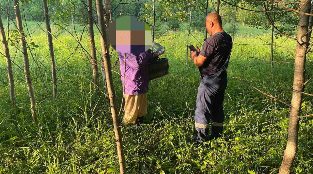 В Прикамье спасатели вывели из леса заблудившуюся пенсионерку