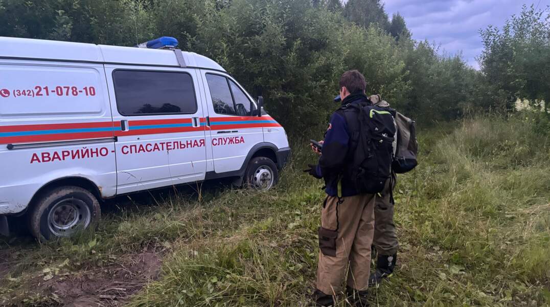 лес, поиски, служба спасения