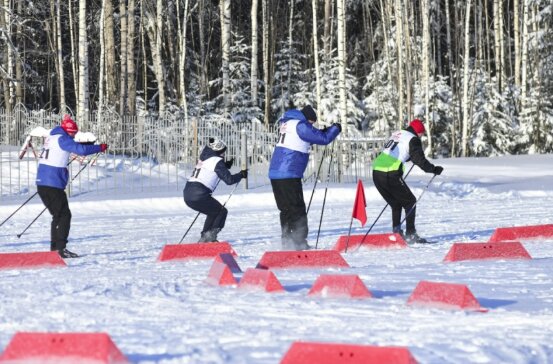 Жителей Перми приглашают на лыжные экскурсии по Черняевскому лесу