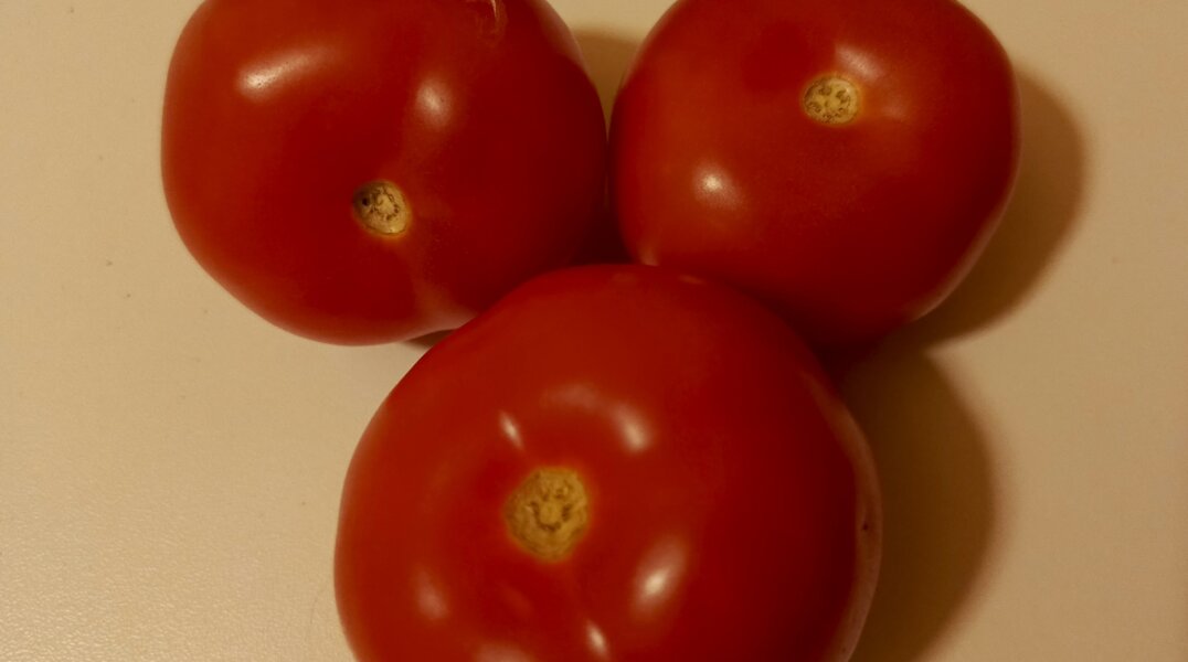 В Пермский край с начала года привезли 162 тонны казахстанских помидоров