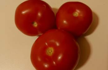 В Прикамье предпринимательница продавала на маркетплейсе запрещенные в России семена помидоров