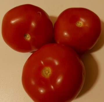 В Прикамье предпринимательница продавала на маркетплейсе запрещенные в России семена помидоров