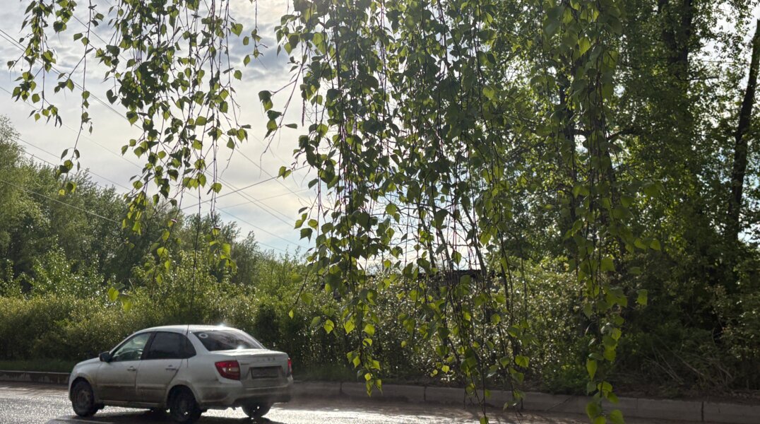 Новая неделя в Прикамье будет теплой и с кратковременными дождями