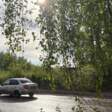 В выходные температура воздуха в Прикамье вновь прогреется до +29 градусов 