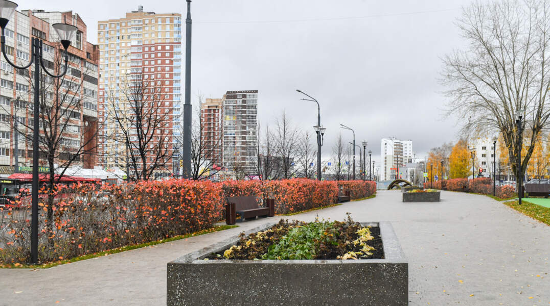 город