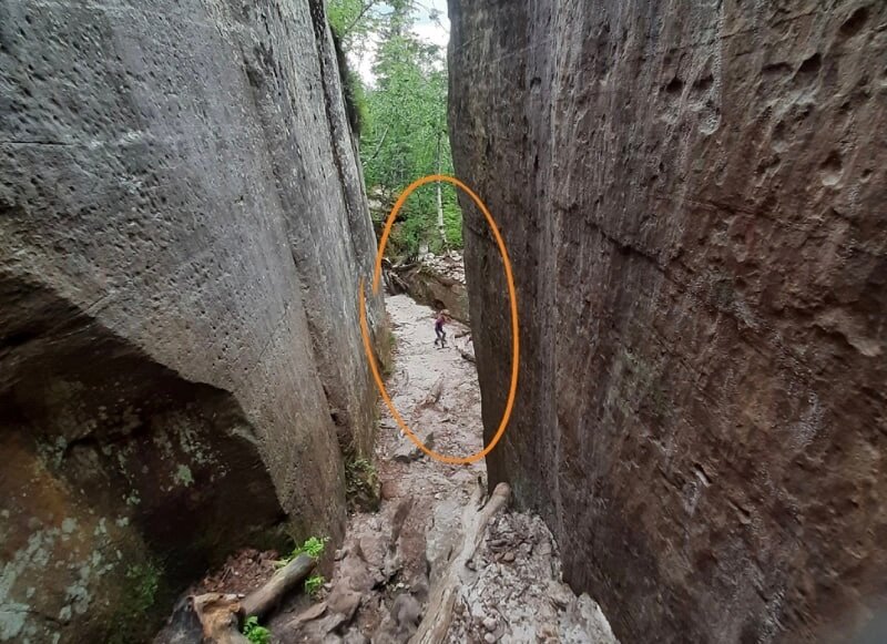 В Каменном городе Пермского края сфотографировали неизвестное существо