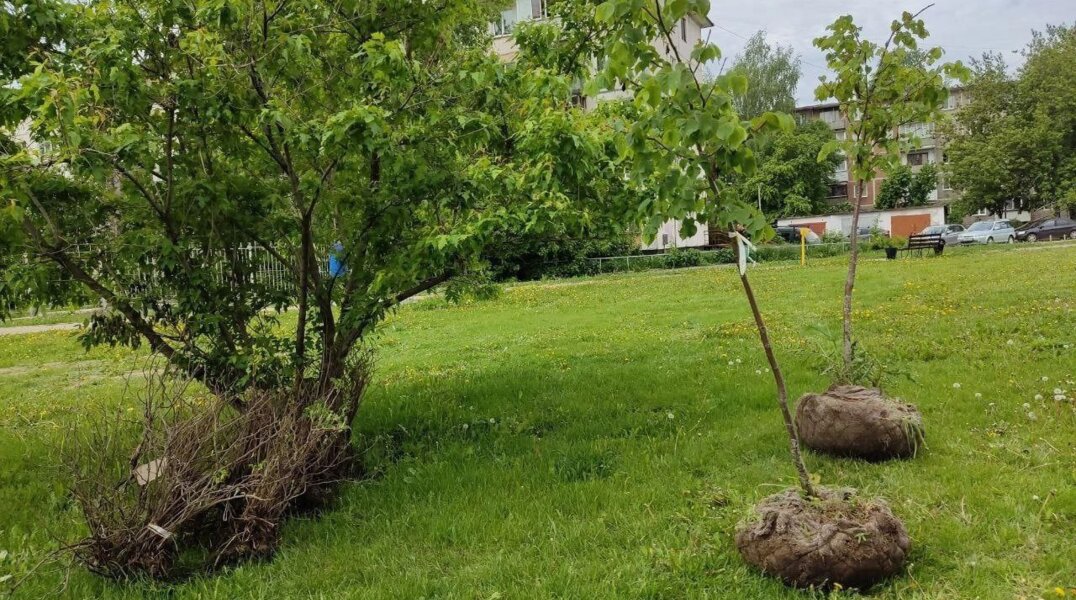 Новый питомник в Перми оценили в 144 миллиона рублей