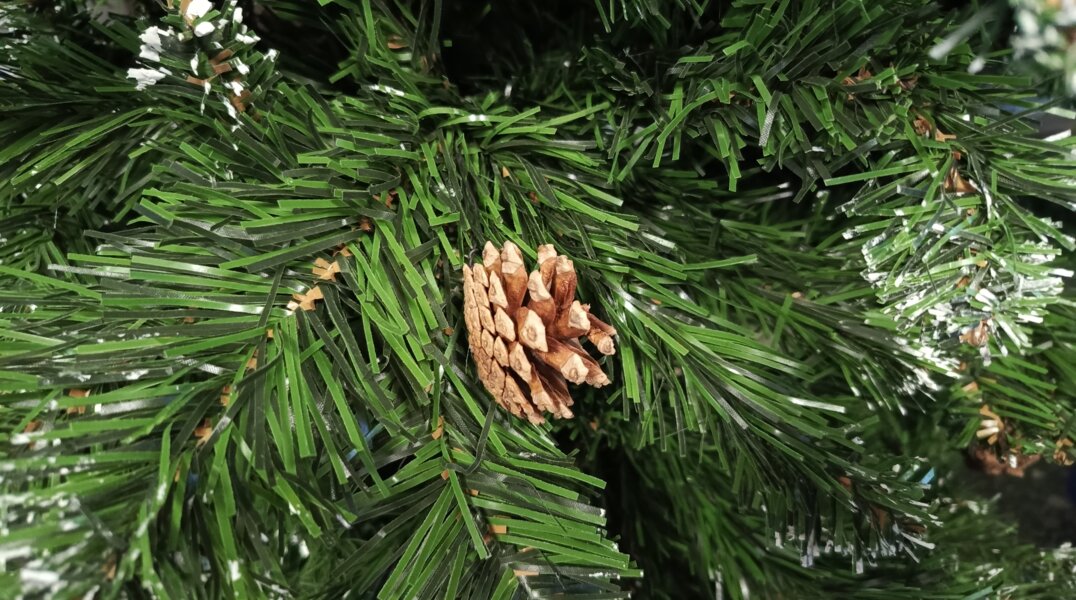 Третья часть пермской молодёжи мечтает стать увереннее в 2026 году