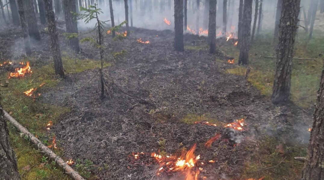 С начала сезона в Пермском крае случилось 29 лесных пожаров