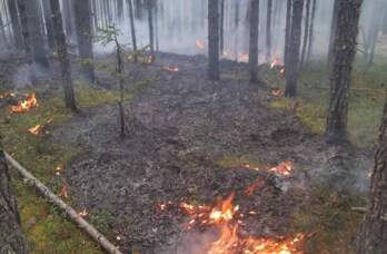 В Перми из-за халатности работников автосервиса произошел пожар рядом с одной из подстанций