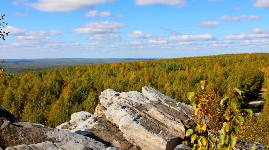 До конца недели в Прикамье сохранится сухая и теплая погода
