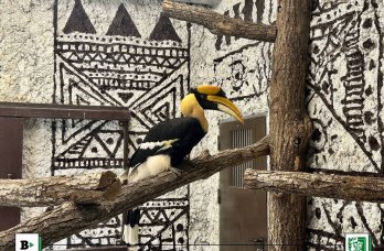 В новый пермский зоопарк переехали тропические птицы