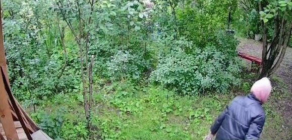 В Перми ищут 90-летнюю женщину с ведерками ягод