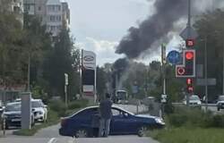 горящая газель