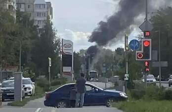 горящая газель