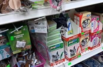 ​В Прикамье торговали просроченными лекарствами для домашних животных
