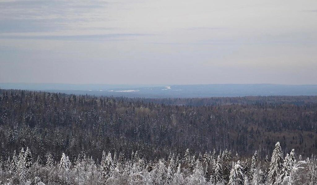 В Перми после жалоб жителей на резкий запах газа проверили воздух