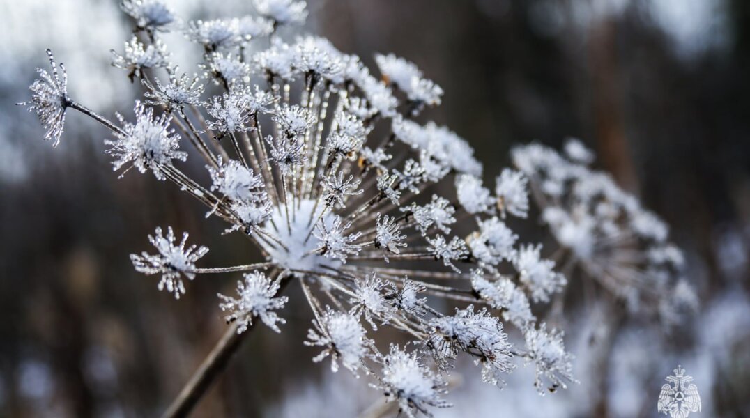 В Пермском крае 24 февраля ожидается изморозь