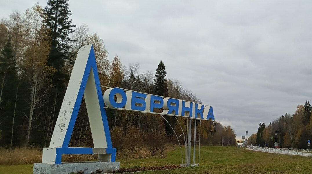 В Добрянке охотники и сотрудник минприроды отгоняют лис от города