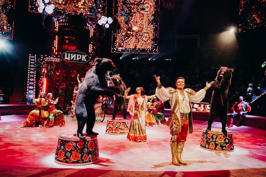 Как найти подход к медведям и бизонам: артисты цирка Гии Эрадзе поделились секретами мастерства