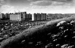 Вид микрорайона Садовый