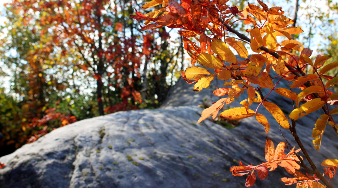 Эксперты рассказали, как долго в Прикамье продлится Бабье лето