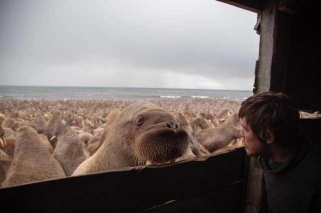 Фильм-участник пермского кинофестиваля номинировали на премию «Оскар»