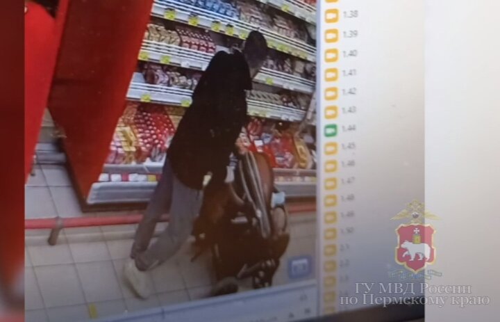 В Добрянке орудует колясочный вор-рецидивист