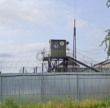 колония