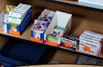 В Прикамье изъяли контрафактные лекарства для животных
