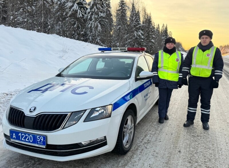 Пермские ДПС-ники помогли замерзающему на трассе дальнобойщику из Ирана