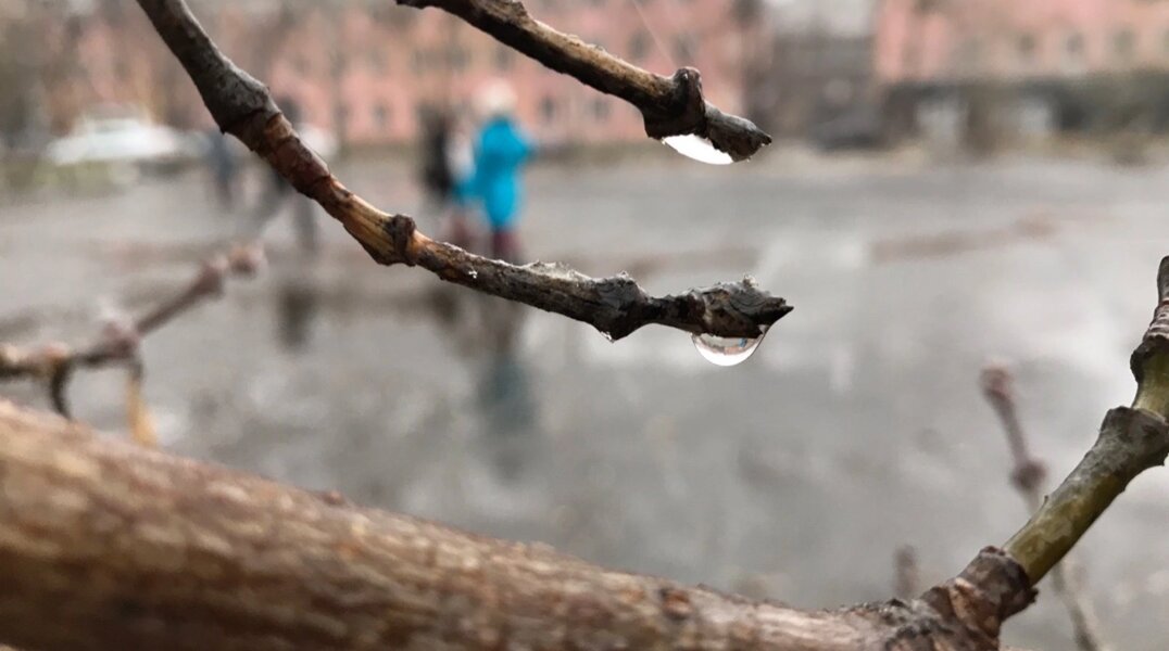 В Пермском крае прогнозируют аномальное тепло и обильные осадки