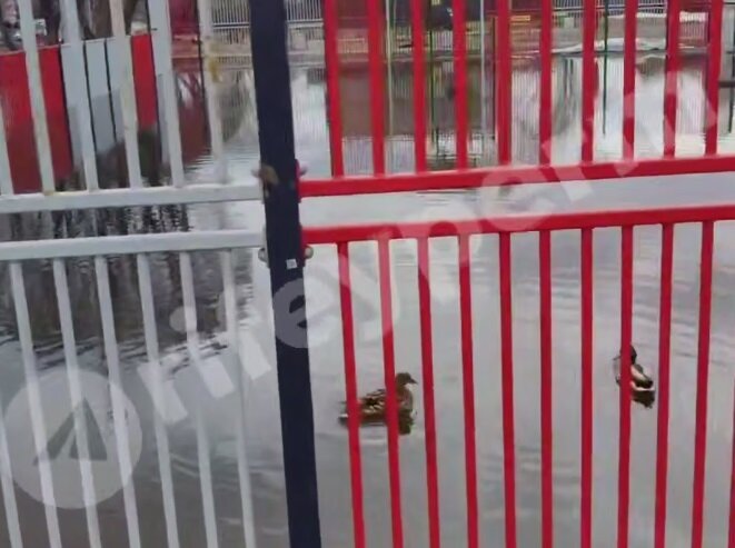 В Перми талыми водами затопило спортплощадку возле одного из лицеев