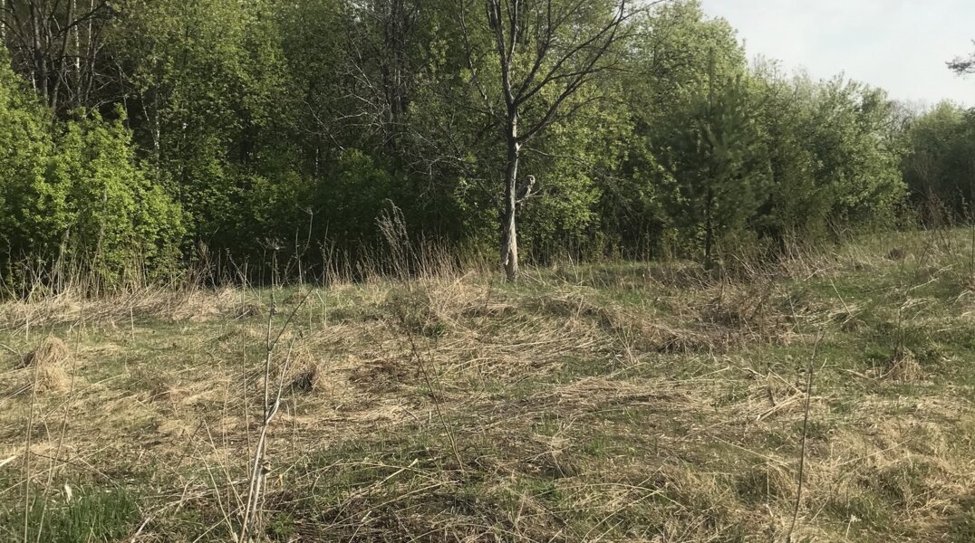 Пермяк запечатлел редкую краснокнижную птицу