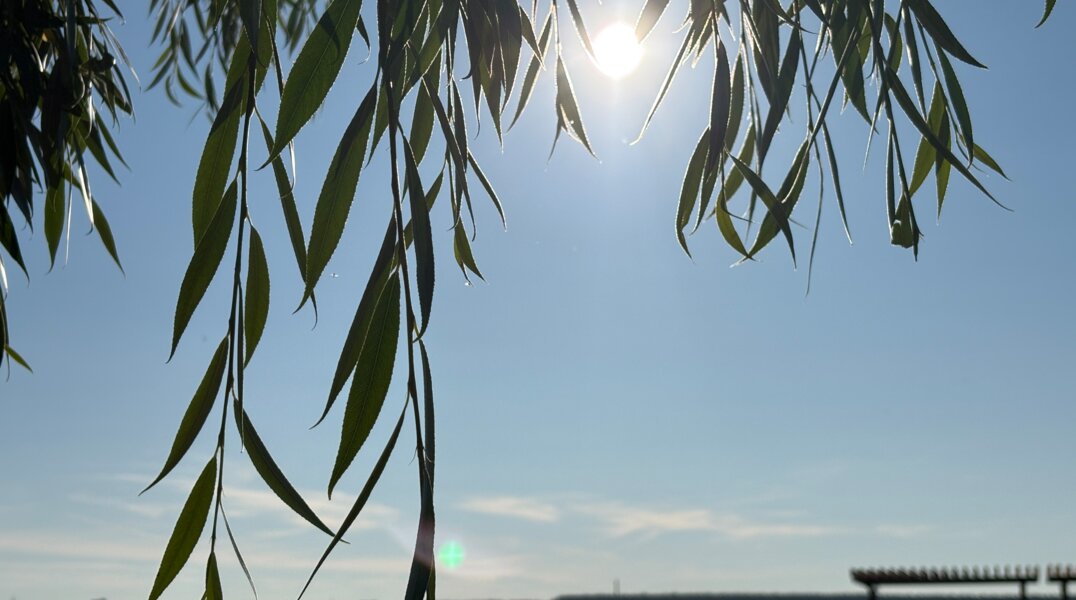 В Пермском крае установилась аномальная жара