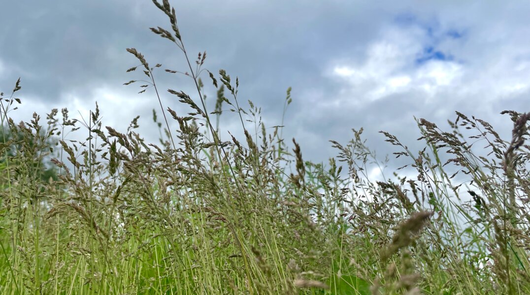 На Прикамье надвигается сильный ветер и ливень