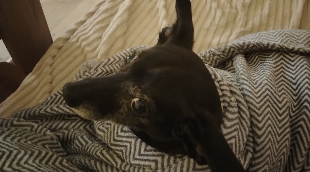 В Чайковском Пермского края два дня будут массовые отключения отопления и горячей воды