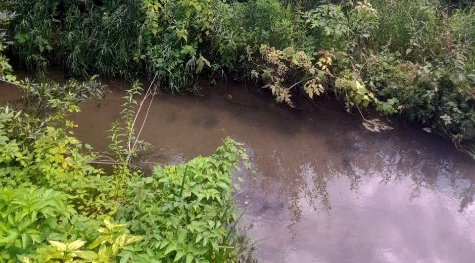 В Перми проверят на наличие сточных вод ручей, впадающий в Каму