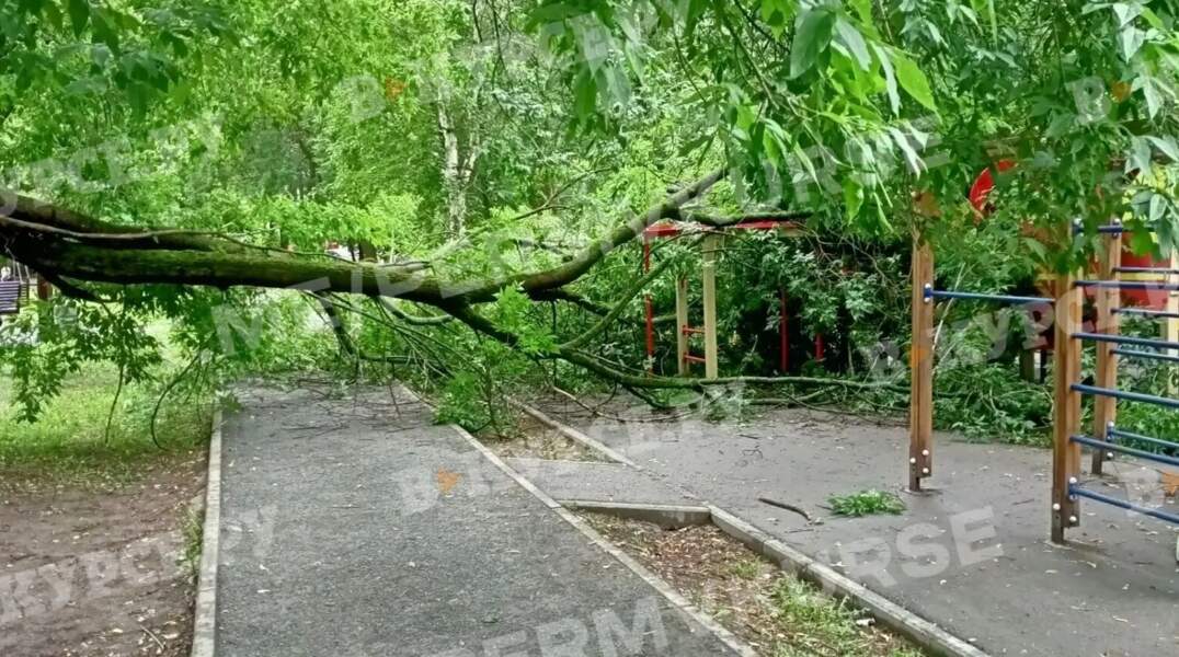 дерево упало на площадку