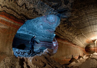Стал известен возраст окаменелого дерева, которое нашли в шахте Пермского края